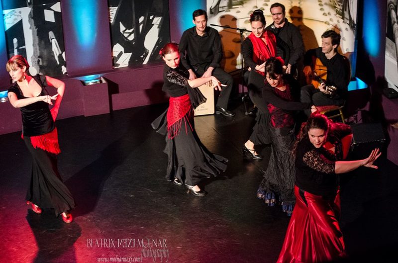 Flamenco Show 8